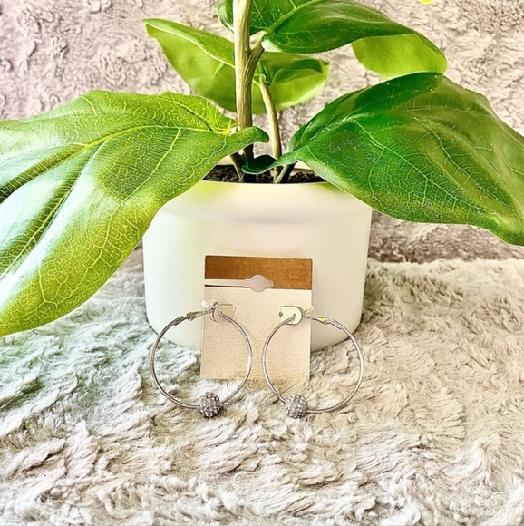 Hoop Earrings - Picture 2 of 3